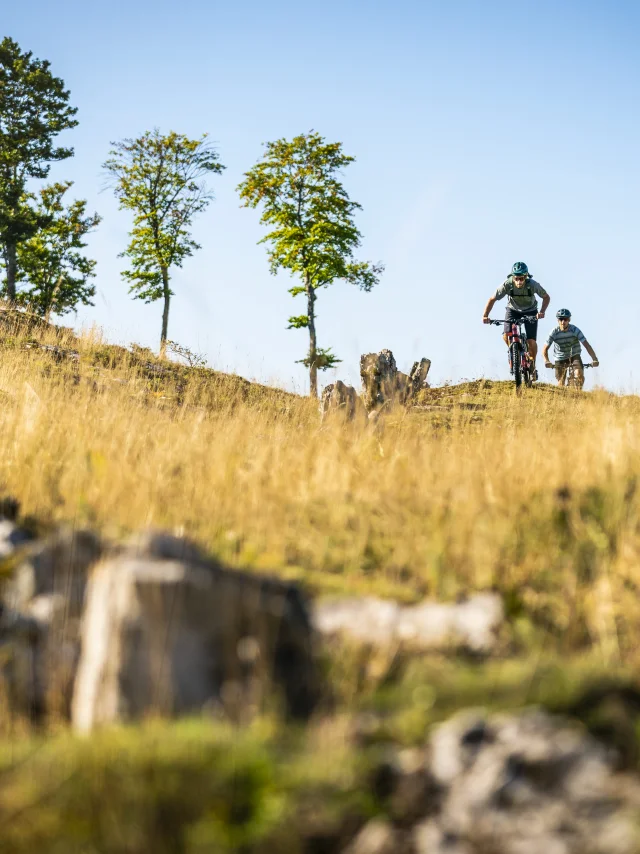 Mountain biking in the countryside