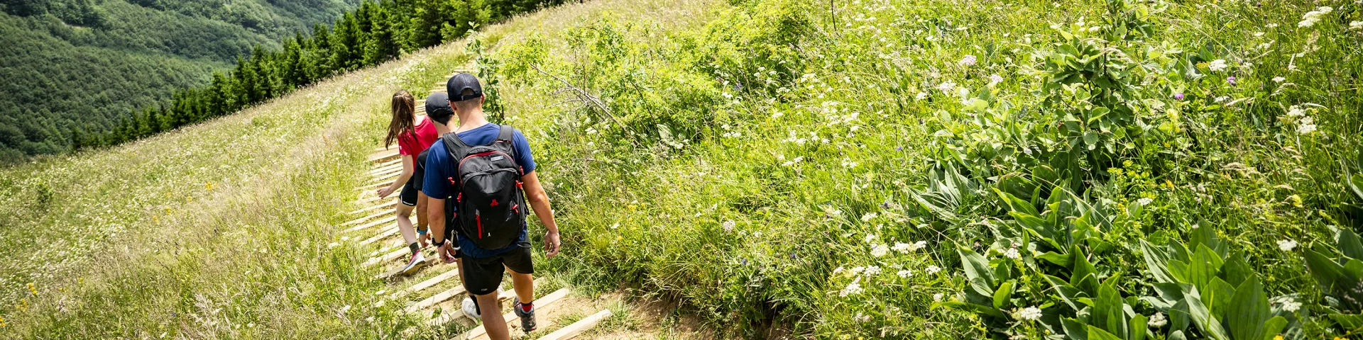 Group hiking and landscape