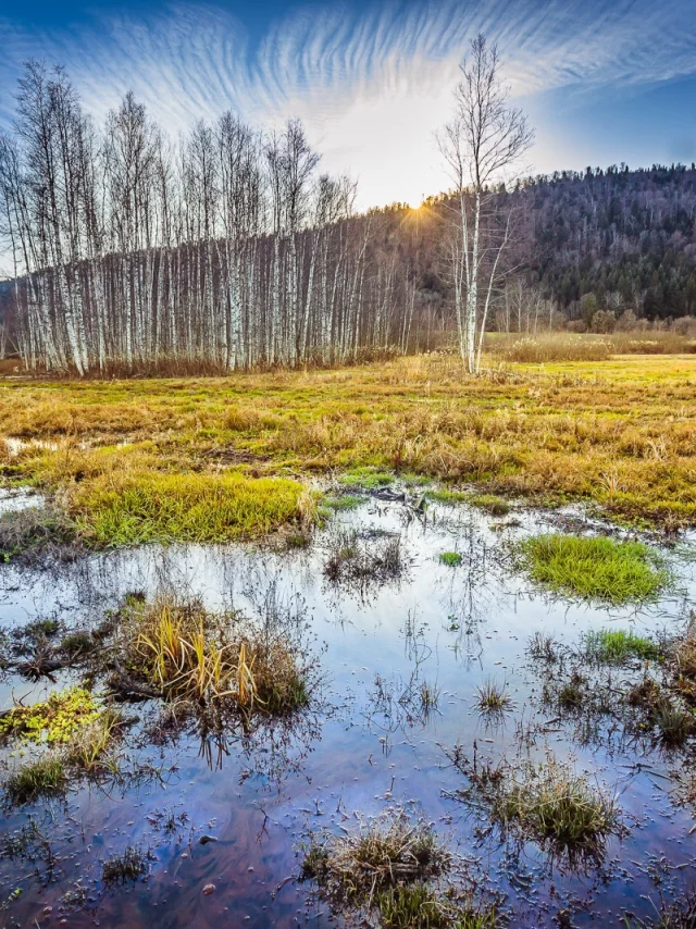 Le Marais de Vaux, sur le Plateau d'Hauteville, labellisé pour son importance internationale