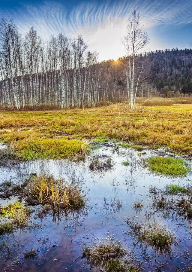 Das Marais de Vaux auf dem Plateau d'Hauteville, das mit dem Gütesiegel für internationale Bedeutung ausgezeichnet wurde