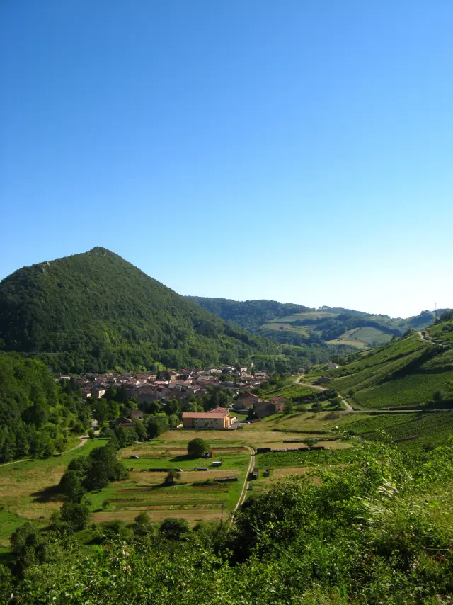 Vignes de Cerdon, Ain