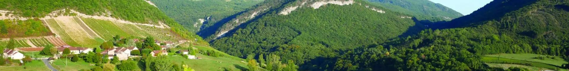 Montagnieu, dans le Vignoble du Bugey