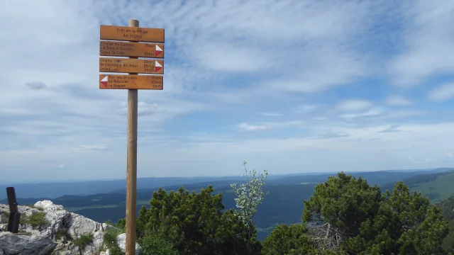 Balisage au sommet du Crêt de la Neige, le plus haut sommet jurassien