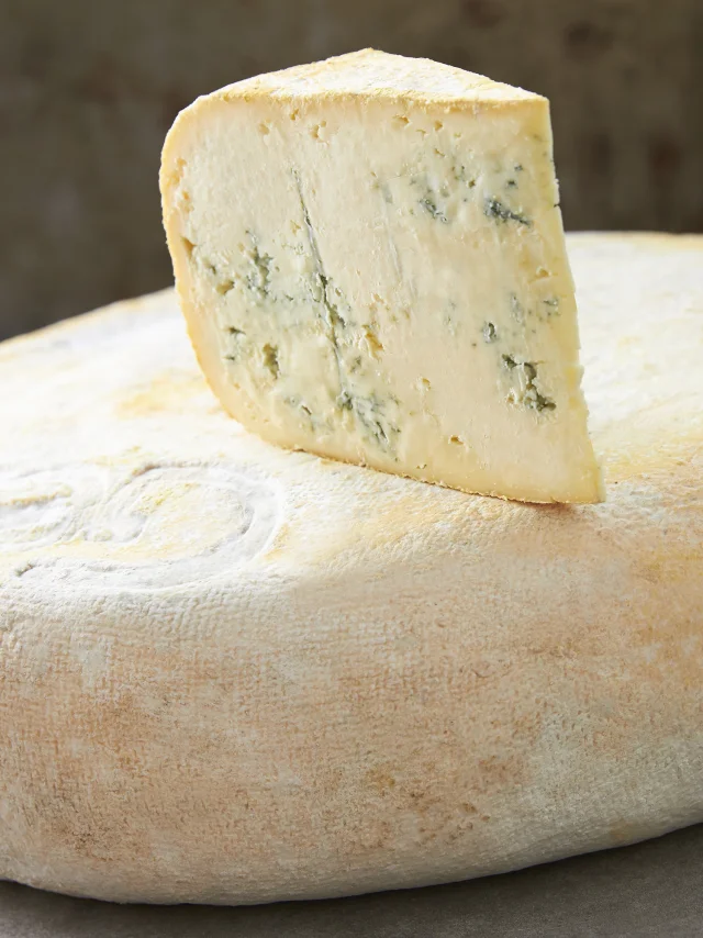 Fromage Bleu de Gex AOP