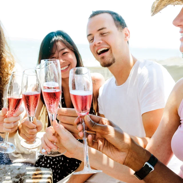 Vin de Cerdon apérif entre amis