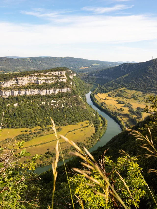 Gorges de l'Ain vues du Mont Balvay
