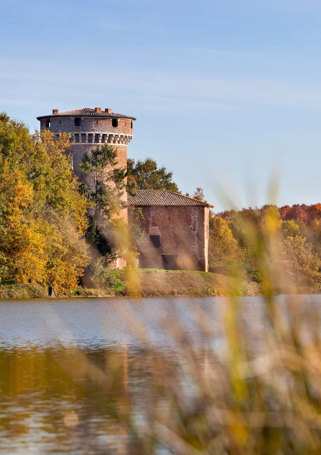 Natural heritage of the Dombes