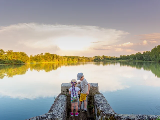 Natural heritage of the Dombes