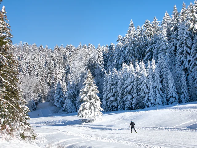 Skieur et paysage d'Hauteville en hiver