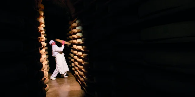 Comté cheese maturing cellar