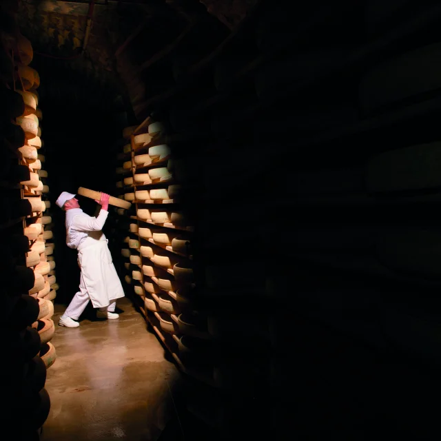 Comté cheese maturing cellar
