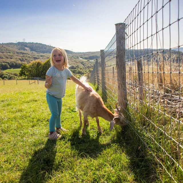 Terroir, child stroking a goat