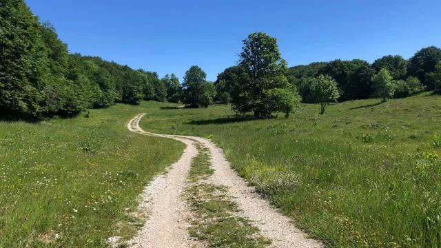 Path to Crêt du Nu, on the Plateau de Retord