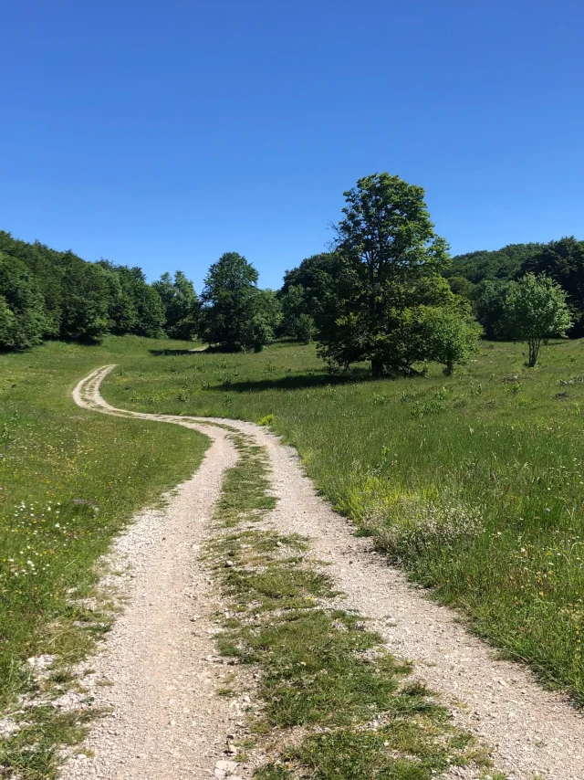 Path to Crêt du Nu, on the Plateau de Retord