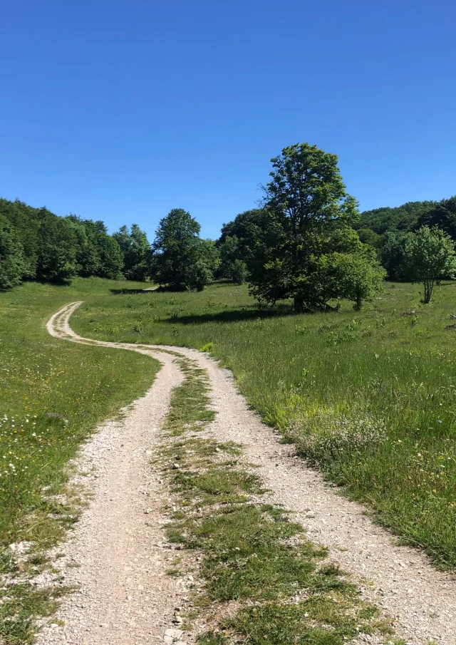 Path to Crêt du Nu, on the Plateau de Retord