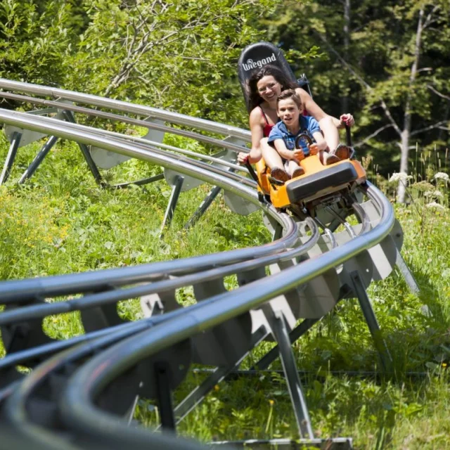 Luge 4 saisons à Monts Jura