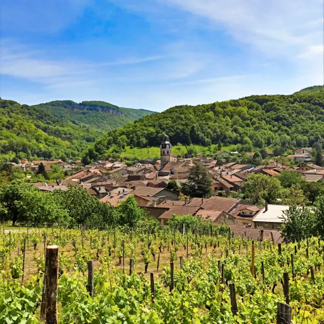 Vignes De Vaux En Bugey