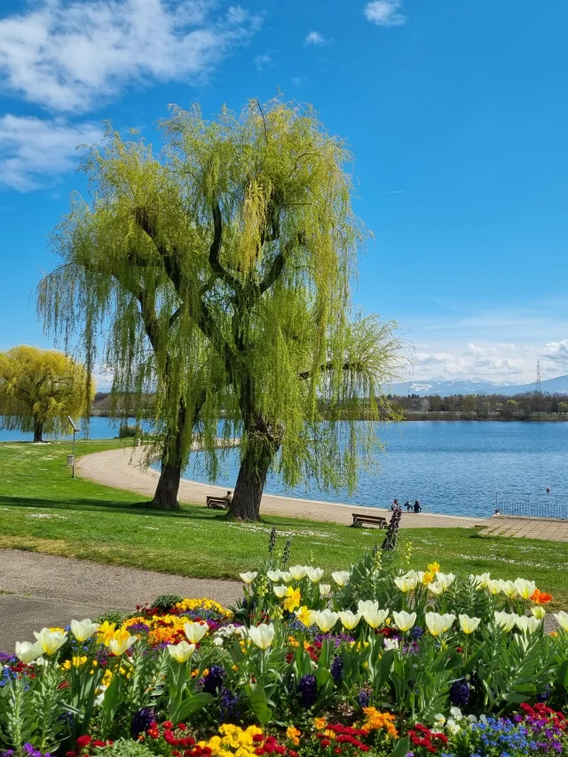 Lac de Divonne-les-Bains