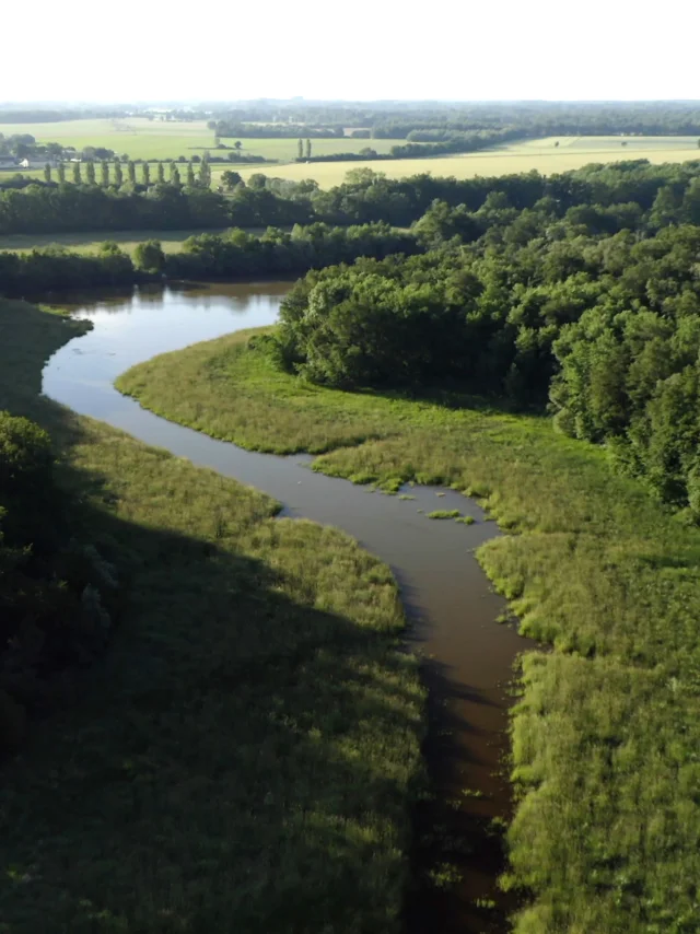 Dombes Nature Reserve