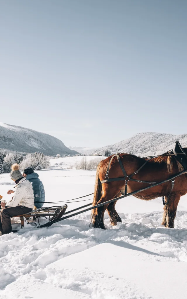 Luge attelée à Monts Jura
