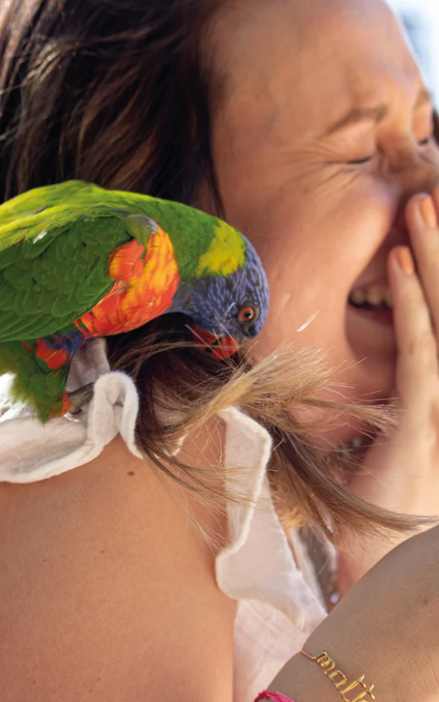Magischer Moment im Parc des Oiseaux in Villars-les-Dombes