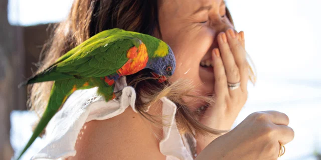 Instant magique au Parc des Oiseaux à Villars-les-Dombes