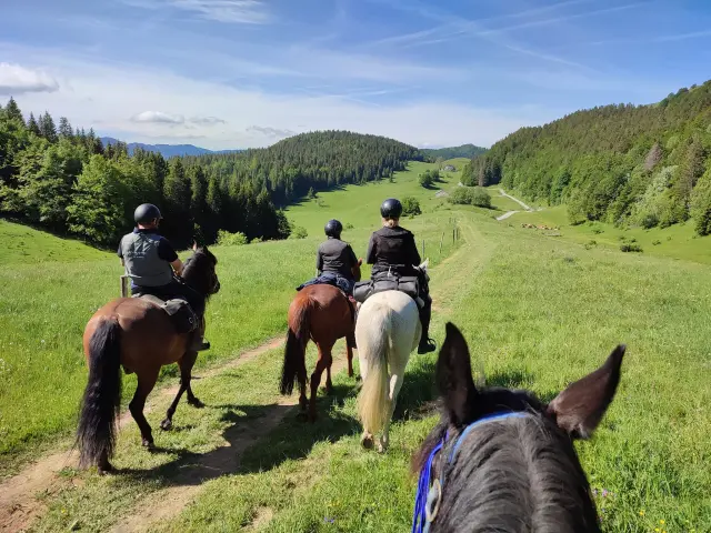 Rallye De Lain 2022 Lelex Lain A Cheval