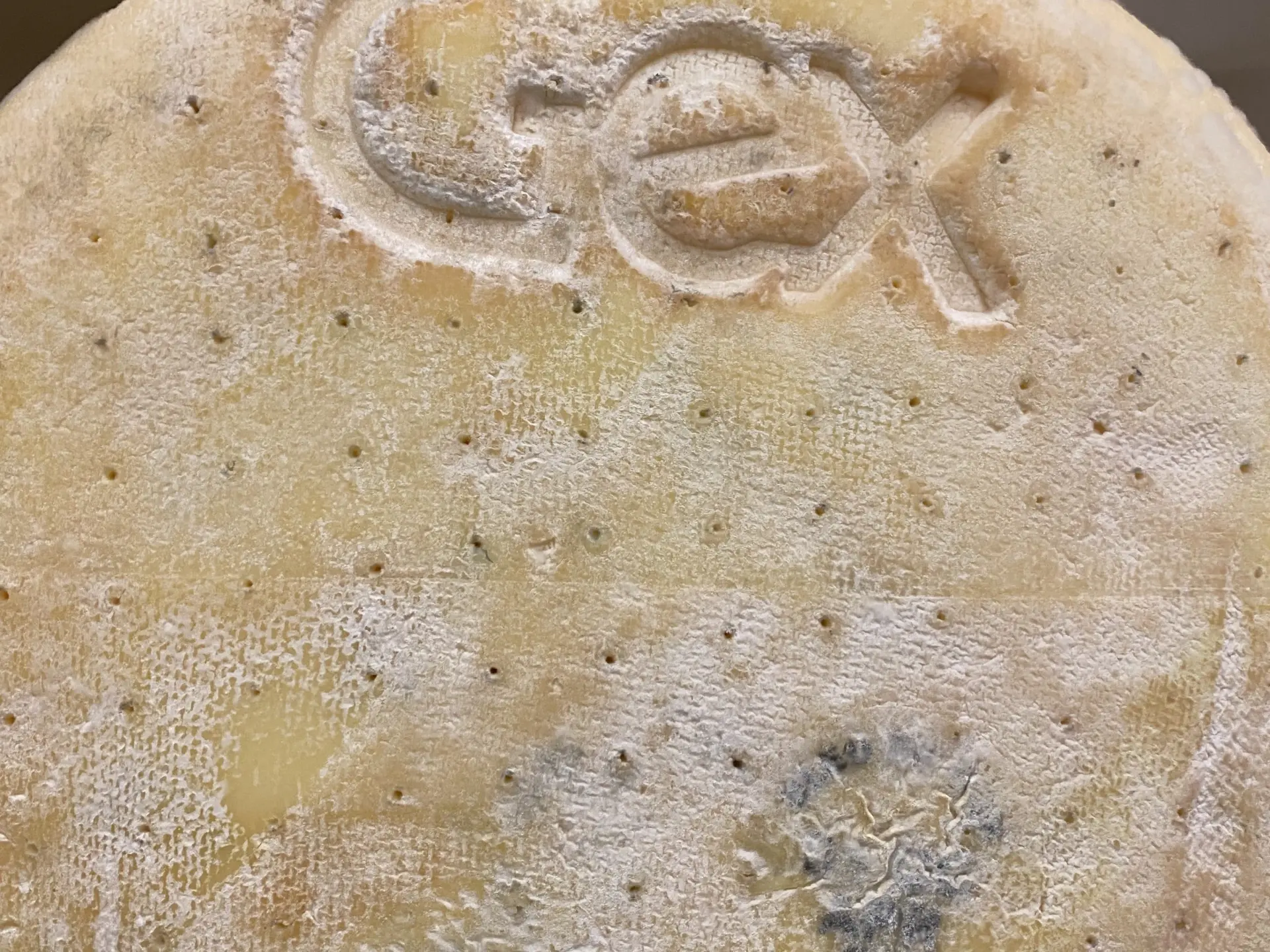 Gastronomie Bleudegex@oti Paysdegex Tourismus 5