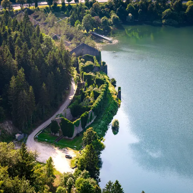 Sylansagenceargojeromepruniaux Hautbugeytourisme 7