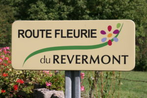Route fleurie du Revermont